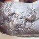 Ceramic shell 5.5 x 4 x 4 cm, color brown - 2/3