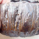 Ceramic shell 5 x 5 x 4 cm, color brown - 2/3