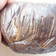 Ceramic shell 5 x 5.5 x 4 cm, brown color - 2/3