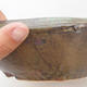 Ceramic bonsai bowl 28 x 28 x 8 cm, brown-green color - 2/4