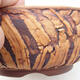 Ceramic bonsai bowl 15.5 x 15.5 x 6.5 cm, color cracked - 2/3