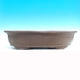 Bonsai bowl 59 x 38 x 12 cm - 2/7