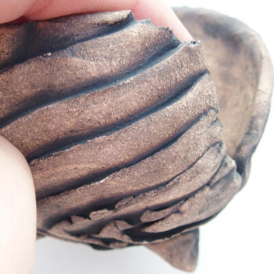 Ceramic shell 7.5 x 7 x 6 cm, gray color - 2