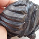 Ceramic shell 7.5 x 7 x 5.5 cm, metal color - 2/3