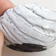 Ceramic shell 7 x 7 x 4 cm, white color - 2/3
