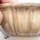 Ceramic bonsai bowl 10.5 x 10.5 x 4.5 cm, beige color - 2/3