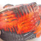 Ceramic shell 7 x 6.5 x 6 cm, color orange - 2/3