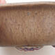 Ceramic bonsai bowl 18 x 16 x 6.5 cm, brown color - 2/3