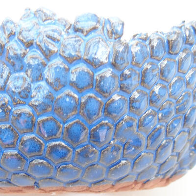 Ceramic shell 7.5 x 7 x 5 cm, color blue - 2
