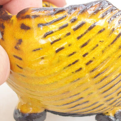 Ceramic shell 7 x 7 x 5 cm, color yellow - 2