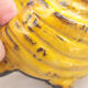 Ceramic shell 7 x 7 x 6.5 cm, color yellow - 2/3