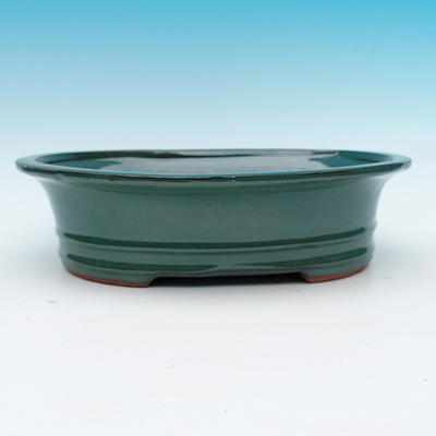 Bonsai bowl - 2