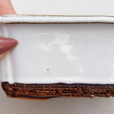 Bonsai bowl H 50 - 16.5 x 12 x 6 cm, white scratched - 2