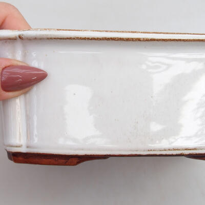 Bonsai bowl + saucer H 50 - bowl 16.5 x 12 x 6 cm, saucer 17 x 12.5 x 1.5 cm, white Oxide - 2