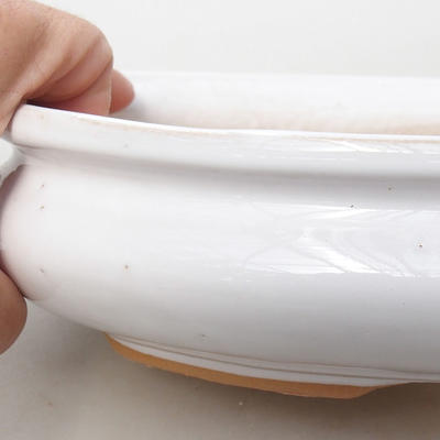 Ceramic bonsai bowl H 15 - 26,5 x 17 x 6 cm, white - 2