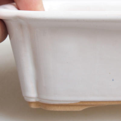 Bonsai bowl H 50 - 16.5 x 12 x 6 cm, white - 2