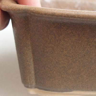Bonsai bowl H 50 - 16.5 x 12 x 6 cm, Brown - 2
