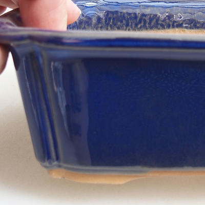 Bonsai bowl H 50 - 16.5 x 12 x 6 cm, blue - 2