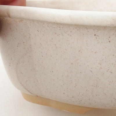 Bonsai bowl H 75 - 19 x 14 x 7 cm, beige - 2