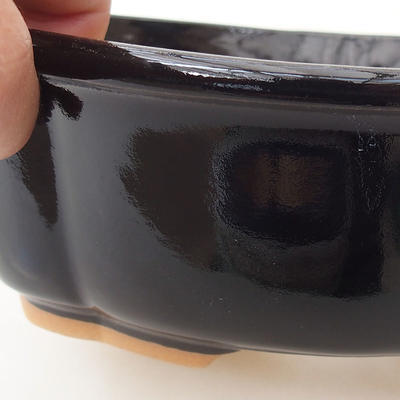 Bonsai bowl H 75 - 19 x 14 x 7 cm, black glossy - 2