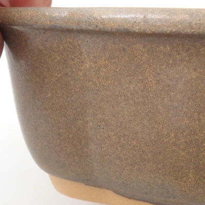 Bonsai bowl H 75 - 19 x 14 x 7 cm, Brown - 2