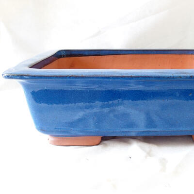 Bonsai bowl 51 x 39 x 15 cm, color blue - 2