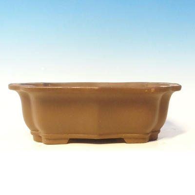 Bonsai bowl 39 x 32 x 12 cm - 2
