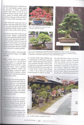 Bonsai and Japanese Gardens No.15 - 2