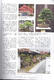 Bonsai and Japanese Gardens No.15 - 2/3
