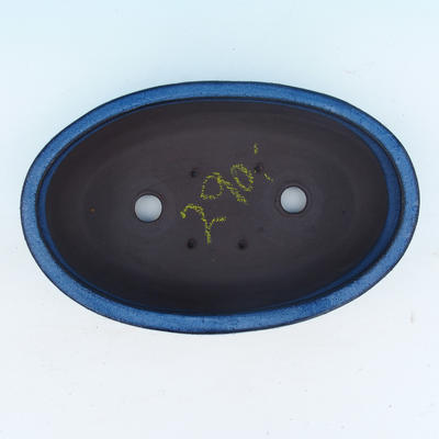 Bonsai bowl 25 x 16 x 6.5 cm - 2