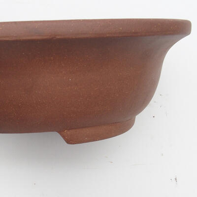 Bonsai bowl 34 x 27 x 10 cm - Japanese quality - 2