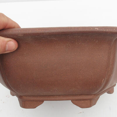Bonsai bowl 34 x 31 x 12 cm - Japanese quality - 2