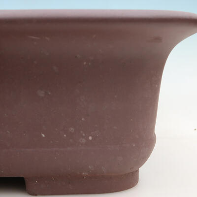 Bonsai bowl 60 x 45 x 14.5 cm, color brown - 2