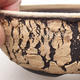 Ceramic bonsai bowl 16 x 16 x 6 cm, color cracked - 2/4