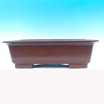 Bonsai bowl 41 x 30 x 13 cm - 2