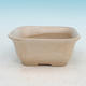 Bonsai bowl + tray H37 - bowl 14 x 12 x 7 cm, tray 14 x 13 x 1 cm, beige - bowl 14 x 12 x 7 cm, tray 14 x 13 x 1 cm - 2/3