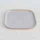Bonsai tray P 37 - 14 x 13 x 1 cm, white - 14 x 13 x 1 cm - 2/2