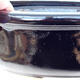 Ceramic bonsai bowl H 55 - 28 x 23 x 10 cm, black glossy - 2/3