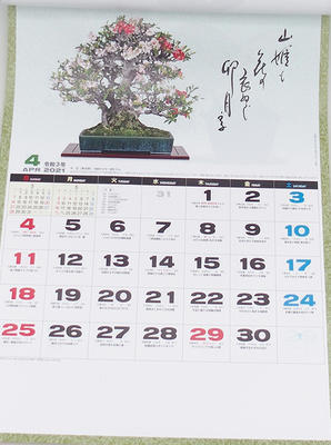 Bonsai wall calendar 2021 - 2