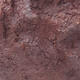 Ceramic shell 15.5 x 16 x 15.5 cm, color brown - 2/3
