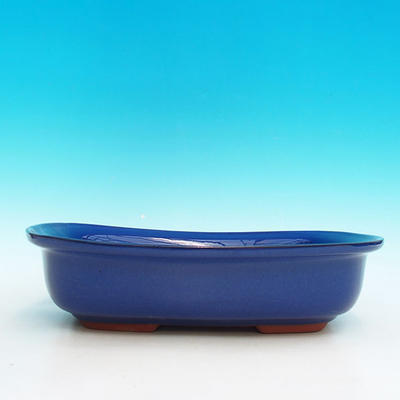Ceramic bonsai bowl H 10 - 37 x 27 x 10 cm, blue - 37 x 27 x 10 cm - 2