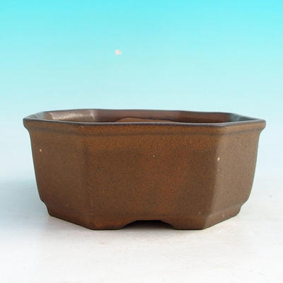 Ceramic bonsai bowl H 13 - 11,5 x 11,5 x 4,5 cm, brown - 11.5 x 11.5 x 4.5 cm - 2