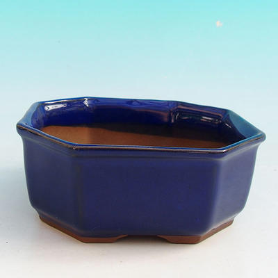 Bonsai bowl + tray H 13 - bowl11,5 x 11,5 x 4,5 cm, tray 11,5 x 11,5 x 1 cm, blue - bowl 11,5 x 11,5 x 4,5 cm, tray 11,5 x 11,5 x 1 cm - 2