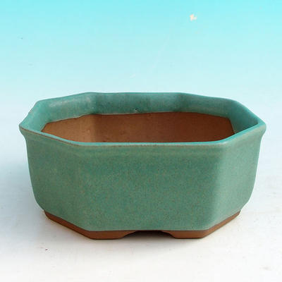 Bonsai bowl + tray H 13 - bowl11,5 x 11,5 x 4,5 cm, tray 11,5 x 11,5 x 1 cm, green - bowl 11,5 x 11,5 x 4,5 cm, podmiska 11,5 x 11,5 x 1 cm - 2