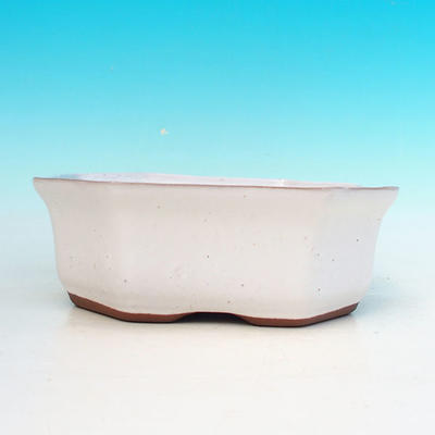 Ceramic bonsai bowl H 14 - 17,5 x 17,5 x 6,5 cm, white - 17.5 x 17.5 x 6.5 cm - 2