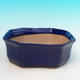 Bonsai bowl tray H14 - bowl 17,5 x 17,5 x 6,5, tray 17,5 x 17,5 x 1,5, blue - bowl 17,5 x 17,5 x 6,5, tray 17,5 x 17,5 x 1,5 - 2/4