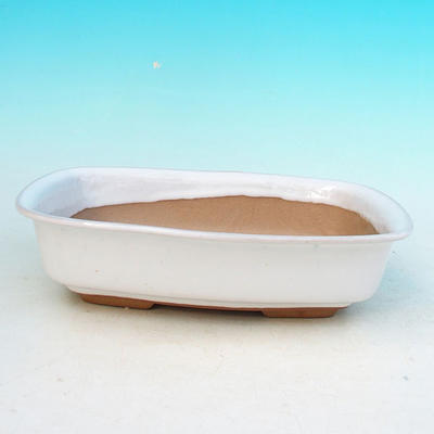 Bonsai bowl + tray H02 - tray 19 x 13,5 x 5 cm, tray 17 x 12 x 1 cm, white - bowl 19 x 13,5 x 5 cm, tray 17 x 12 x 1 cm - 2
