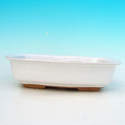 Ceramic bonsai bowl H 02 - 19 x 13,5 x 5 cm, white - 19 x 13.5 x 5 cm - 2