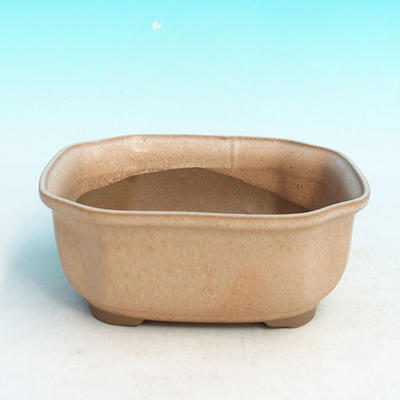 Bonsai bowl H31 - bowl 14,5 x 12,5 x 6 cm, bowl 14,5 x 12,5 x 1 cm, beige - bowl 14,5 x 12,5 x 6 cm, tray 14,5 x 12,5 x 1 cm - 2