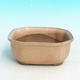 Bonsai bowl H31 - bowl 14,5 x 12,5 x 6 cm, bowl 14,5 x 12,5 x 1 cm, beige - bowl 14,5 x 12,5 x 6 cm, tray 14,5 x 12,5 x 1 cm - 2/4